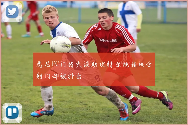 悉尼FC门将失误助攻特尔绝佳机会射门却被扑出