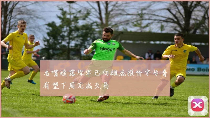 名嘴透露绿军已向雄鹿报价字母哥有望下周完成交易