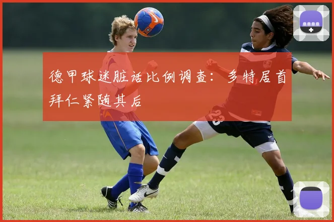 德甲球迷脏话比例调查：多特居首拜仁紧随其后